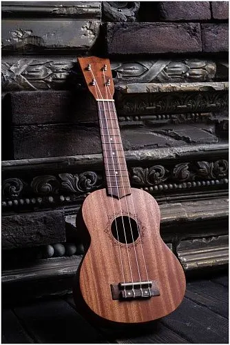 Flight NUS310 Укулеле.